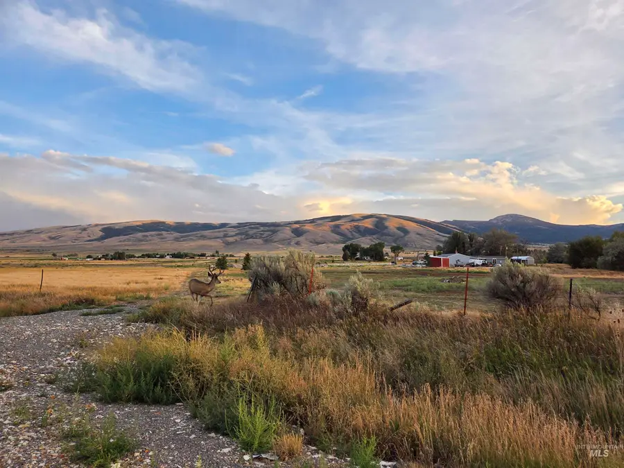 Lot 9, Block 1 Honey Locust, Albion, ID 83311 - #3