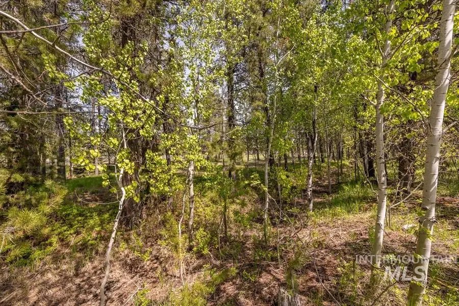 194 Morgan, McCall, ID 83638 - #3