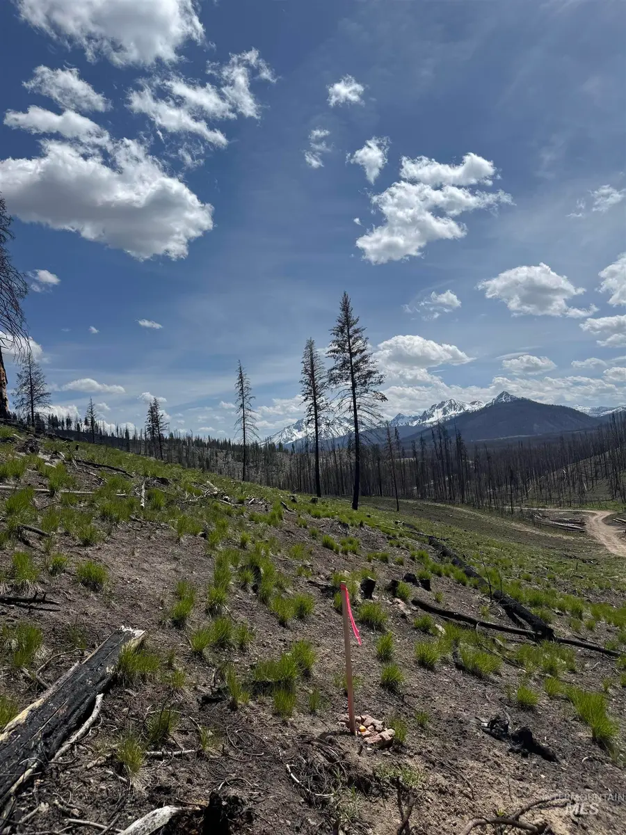 TBD Valley Creek Rd., Stanley, ID 83278 - #3