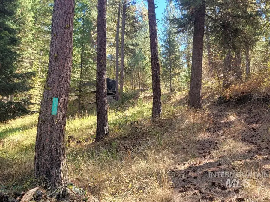 1270 Shore Drive, Cascade, ID 83611 - #3
