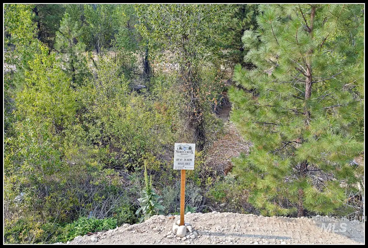 Lot 61 Lily Loop, Idaho City, ID 83631 - #1