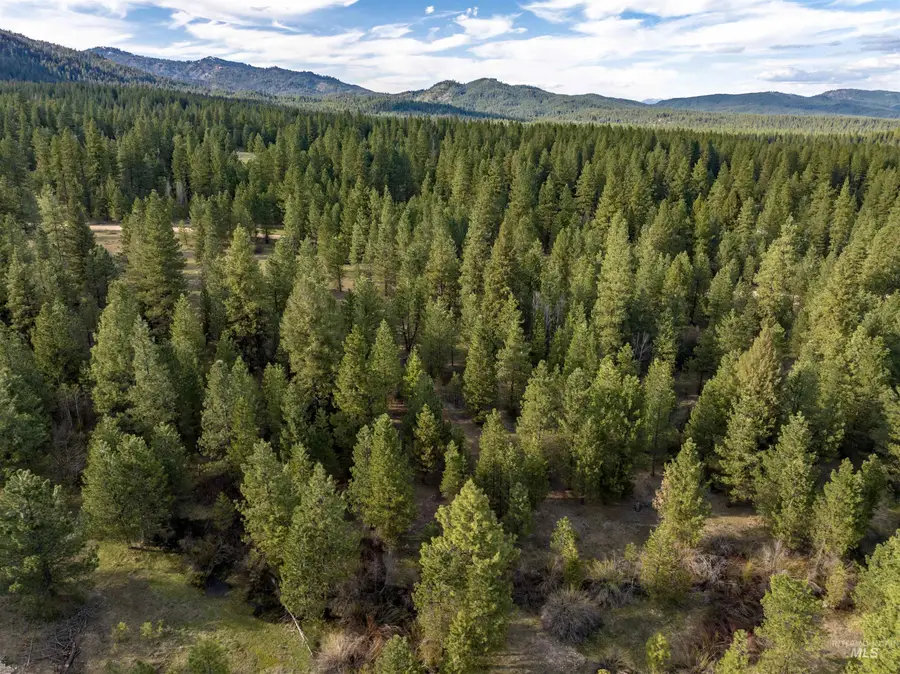 Lot 31 Trail Creek Ct, Placerville, ID 83666 - #2