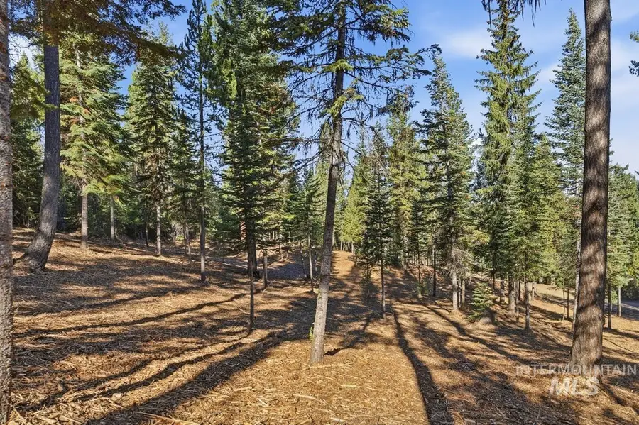 315 Clear Creek Road, Cascade, ID 83611 - #3