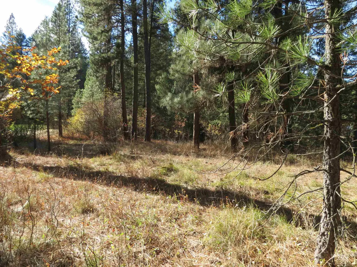 Lot 36 Spur Dr., Garden Valley, ID 83622 - #1