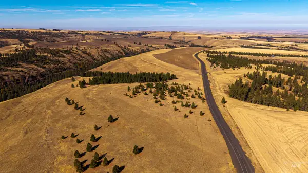NKA Peola Road, Pomeroy, WA 99347