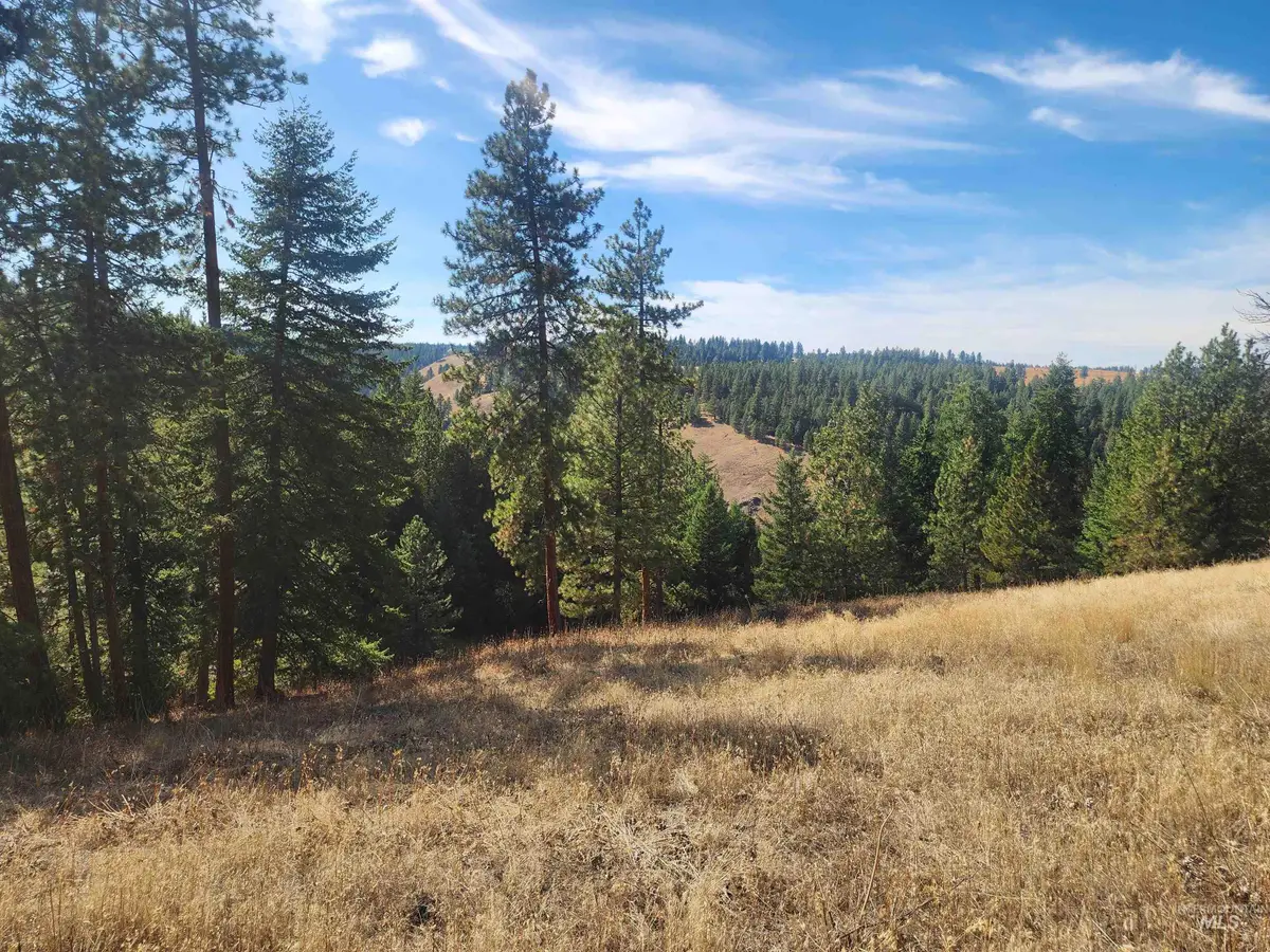 TBD Jack Pine Road, Cottonwood, ID 83522 - #1