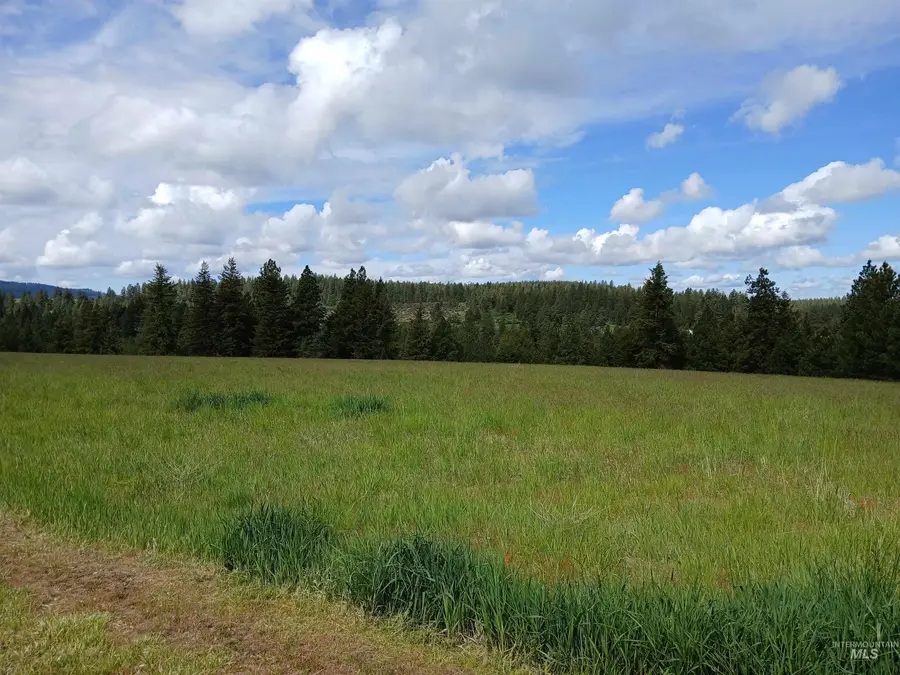 1076 Headrick Road, Potlatch, ID 83855 - #3