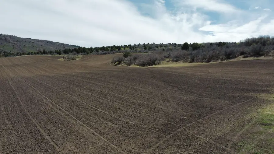 TBD Lago, Grace, ID 83241 - Image #2