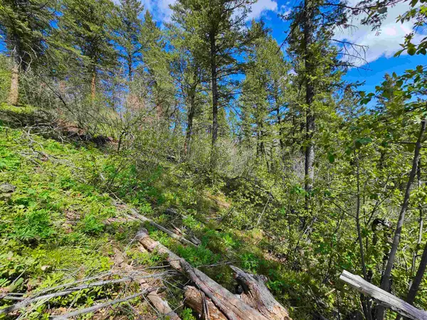 Lot 2 Beehive Rd, Pocatello, ID 83201