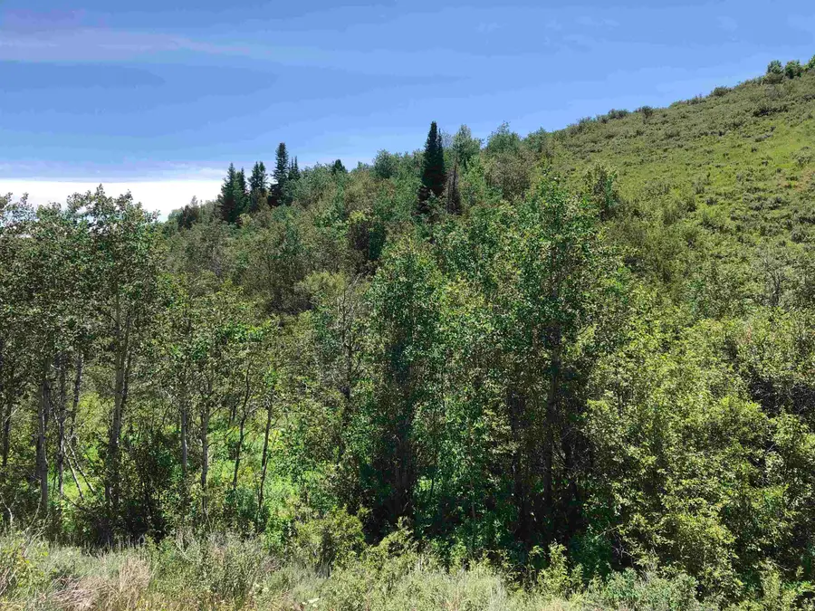 TBD Sleight Canyon Rd, Paris, ID 83261 - Image #3