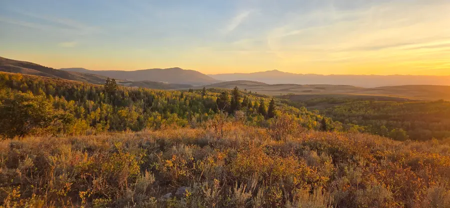 Mercer Creek Road, Arbon, ID 83212 - Image #2