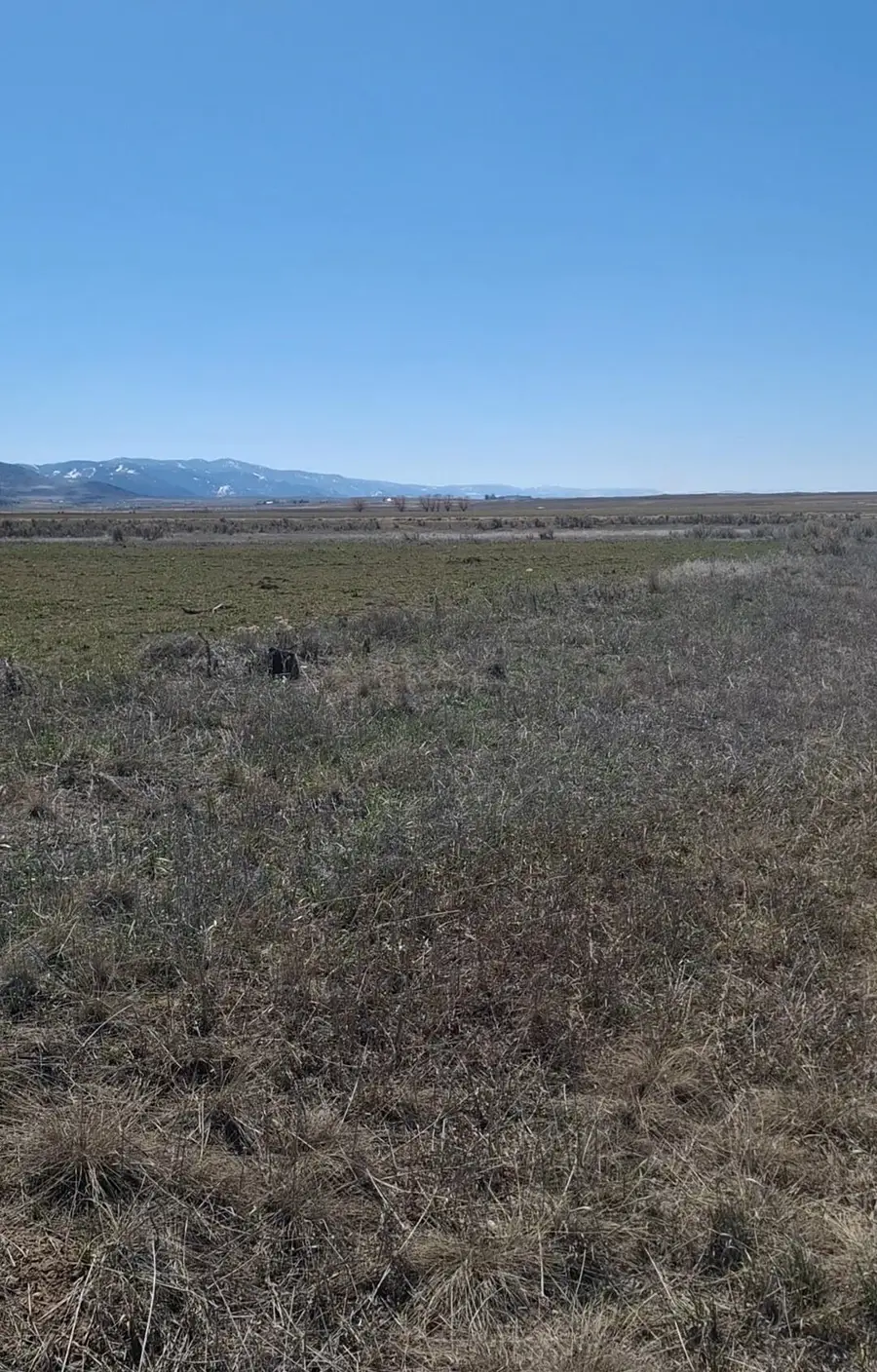 TBD Talmage Rd, Bancroft, ID 83217 - Image #2