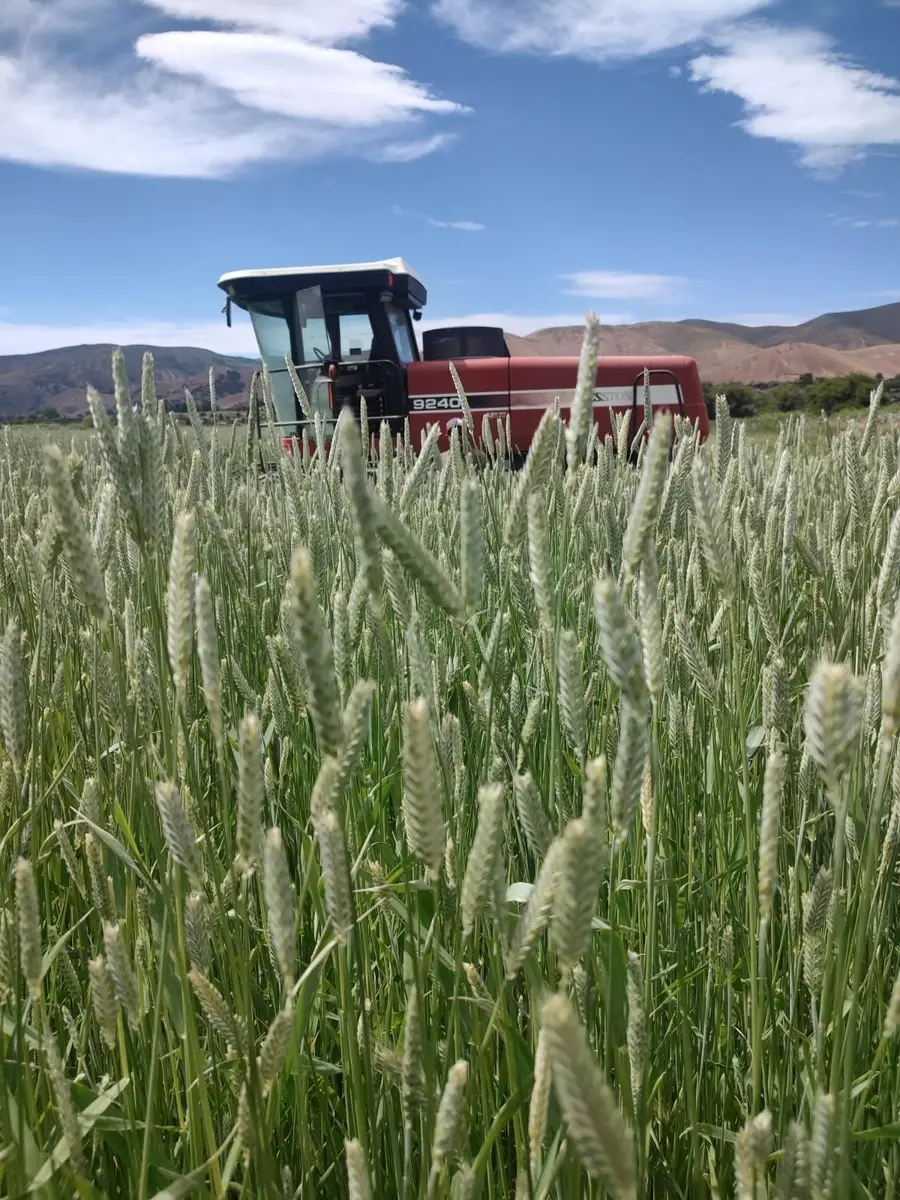 3438 W Portneuf Rd., Inkom, ID 83245 - Image #2