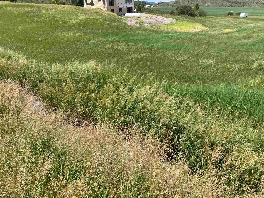 TBD Lot #25 Bailey Creek, Soda Springs, ID 83276 - Image #3