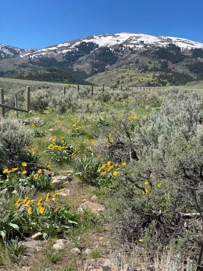 TBD Mines Canyon, Downey, ID 83234 - Image #1