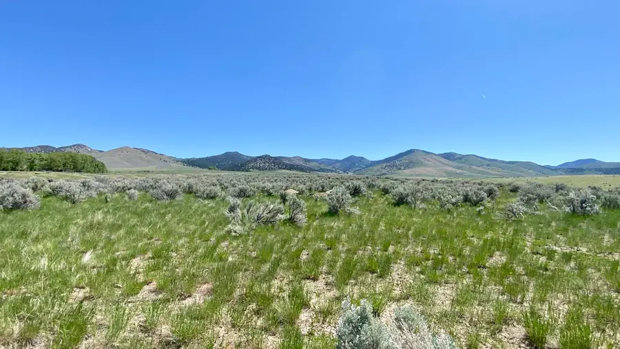 TBD Brush Creek, Downey, ID 83234 - Image #3