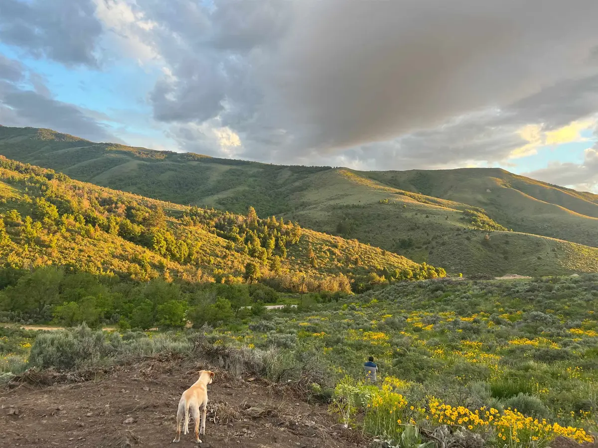 TBD Larkspur Way, Pocatello, ID 83201 - Image #1