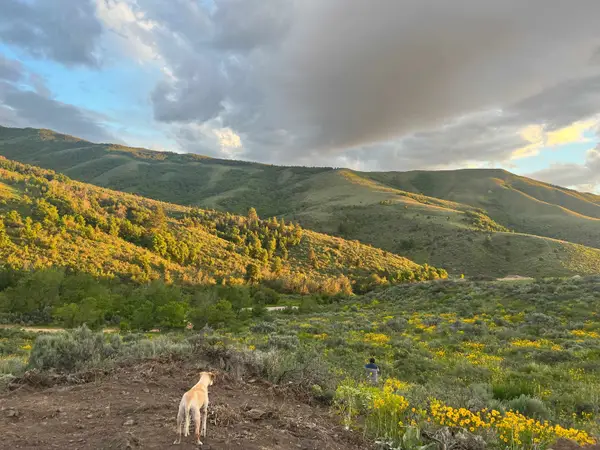 TBD Larkspur Way, Pocatello, ID 83201