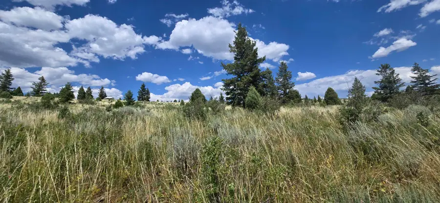 Lot10 Caribou NF Rd 36, Bancroft, ID 83217 - Image #2