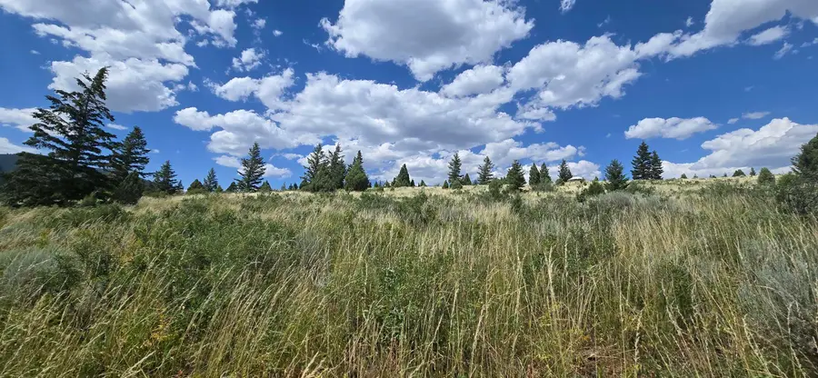 Lot10 Caribou NF Rd 36, Bancroft, ID 83217 - Image #3