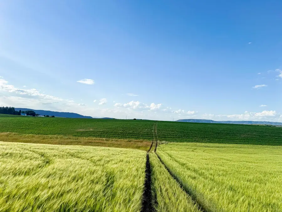 TBD E 1400 N, Ashton, ID 83420 - Image #3