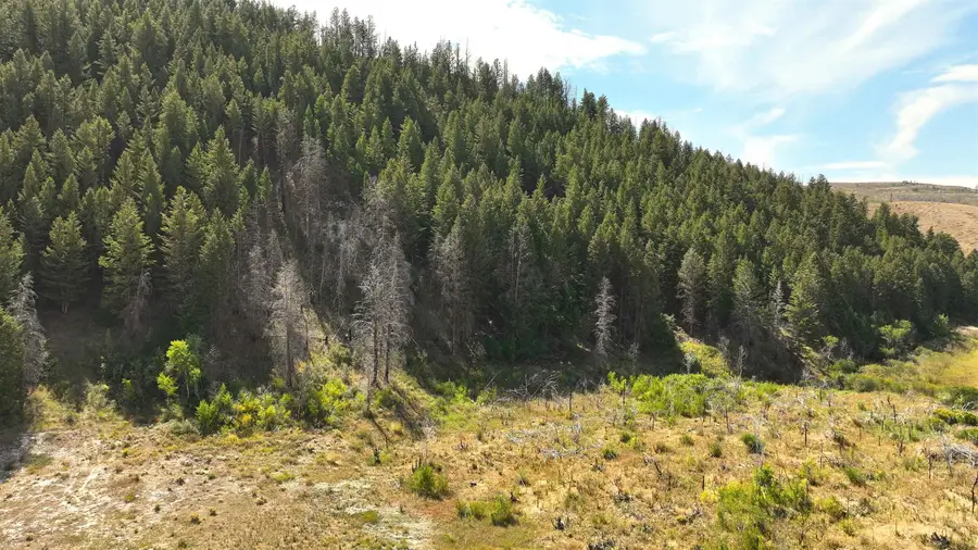 Caribou Village Road, Soda Springs, ID 83276 - Image #3