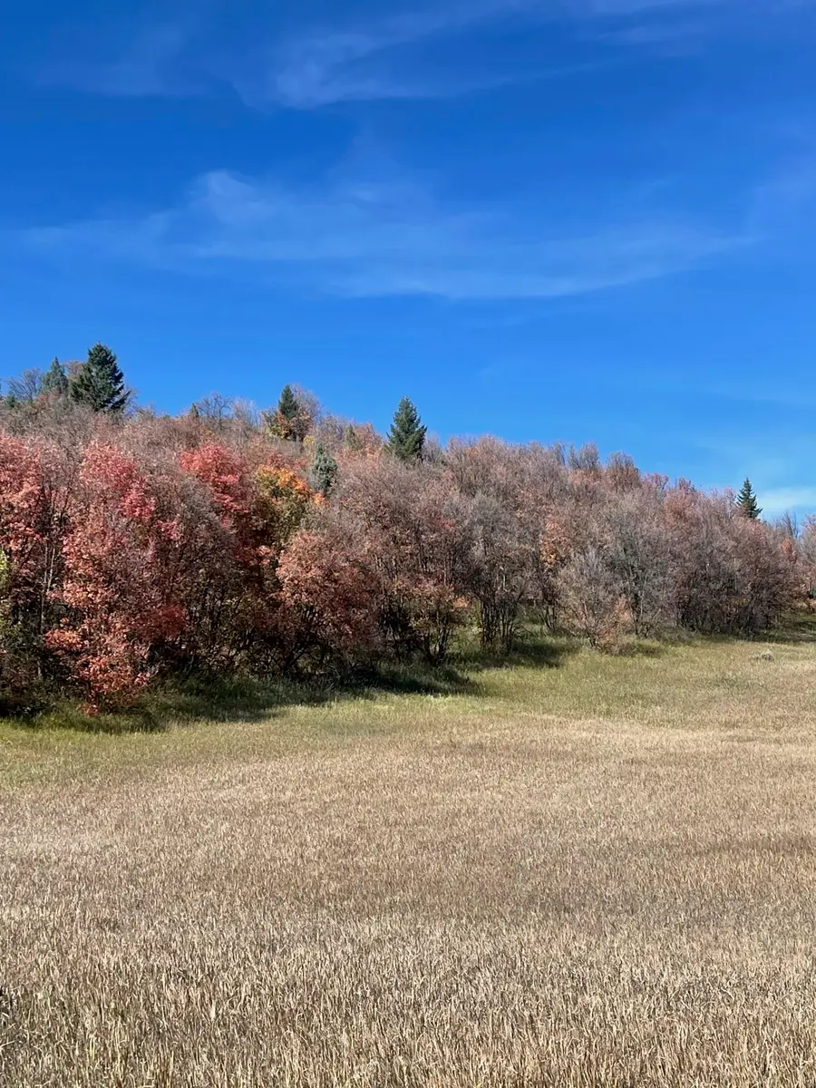 7297 S Pheasant dr, Lava Hot Springs, ID 83246 - Image #3