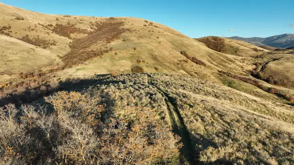 North 2800 East, Preston, ID 83263