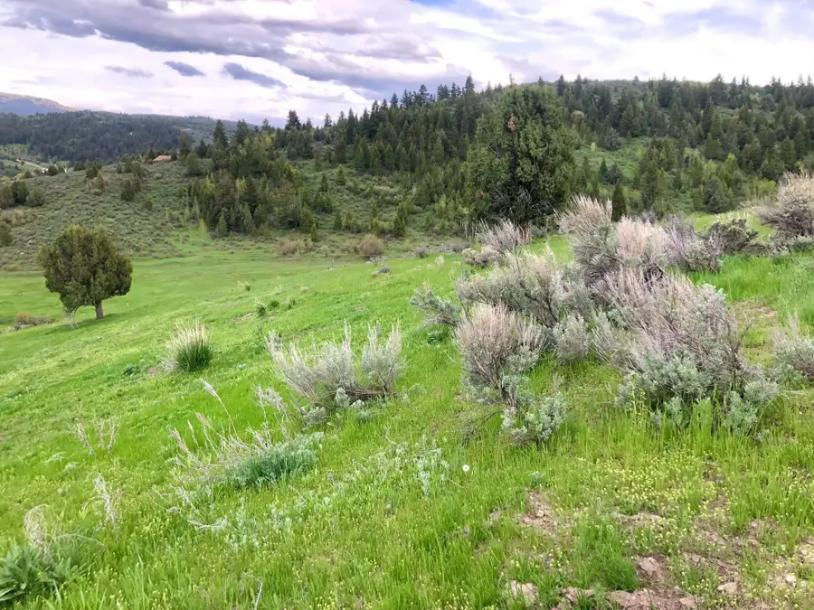 Lot 3 Angileen's Way, Lava Hot Springs, ID 83246 - Image #3