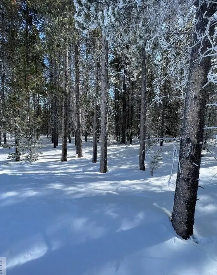 3819 Shoreline Drive, Island Park, ID 83429 - #2