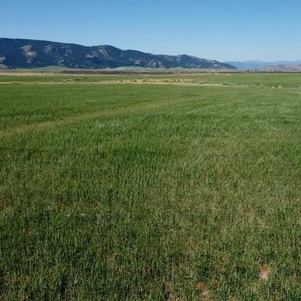 TBD Gunnell Rd Lot #1, Soda Springs, ID 83276