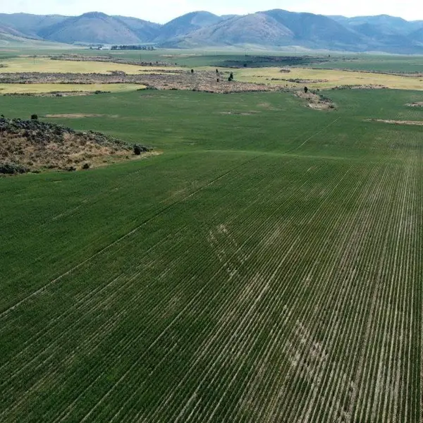 TBD Gunnell Rd Lot #2, Soda Springs, ID 83276