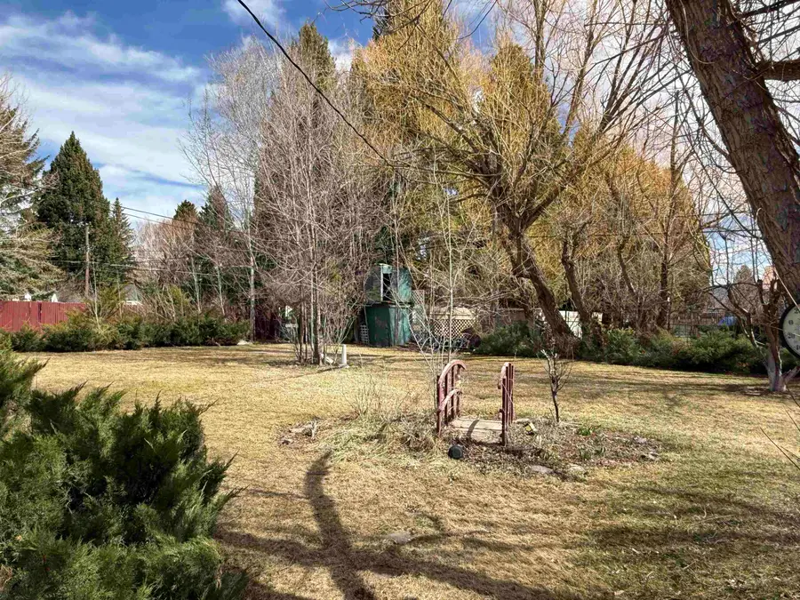 221 S 3rd West, Soda Springs, ID 83276 - #3