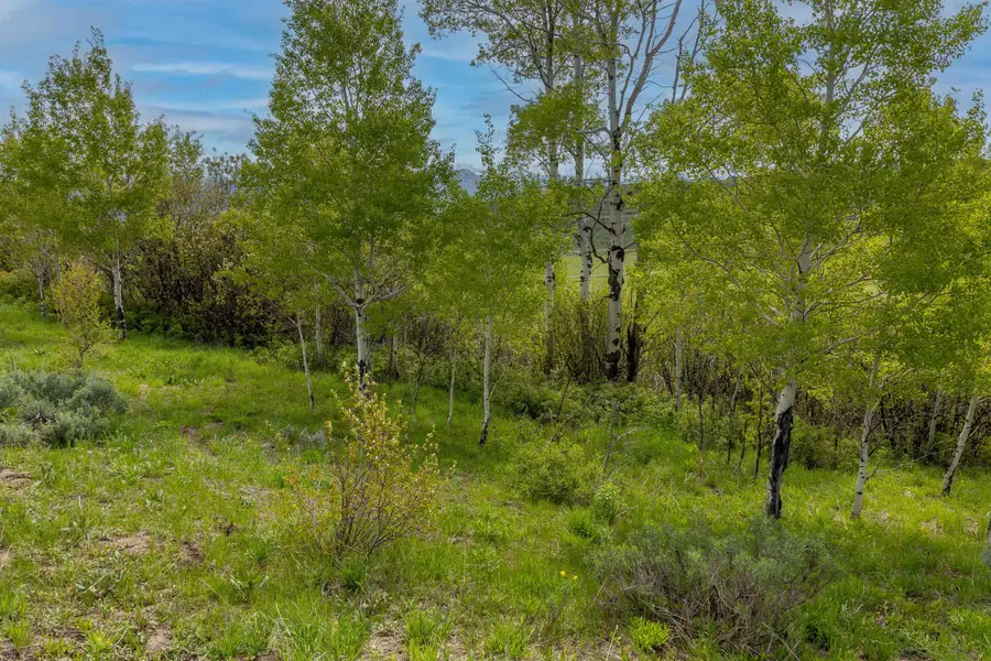 0000 Grouse Creek Loop, Wayan, ID 83120 - #3