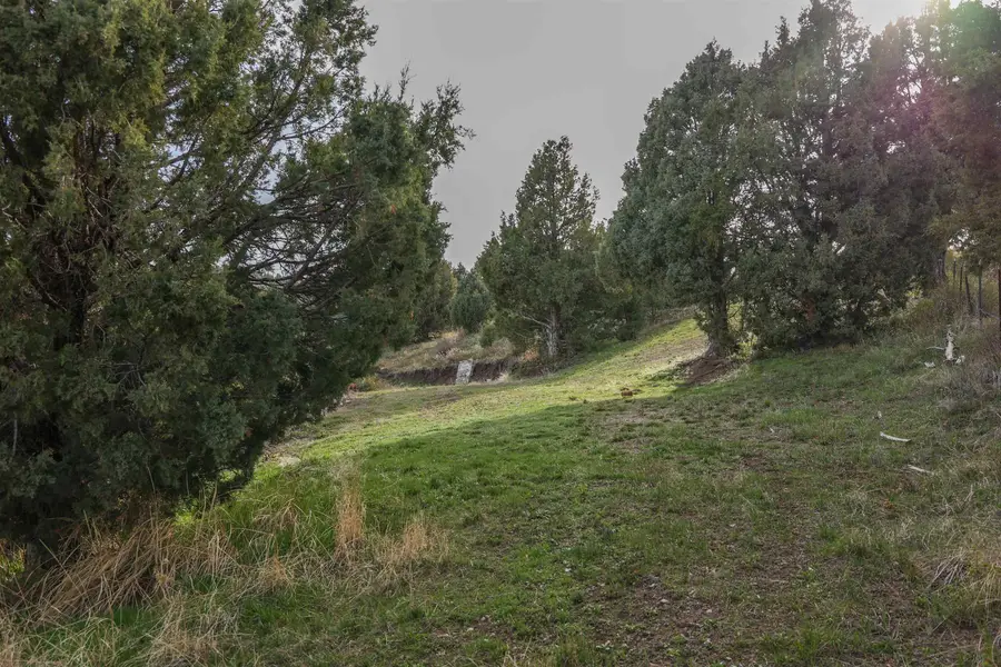 Lot 27 Selkirk Rd, Lava Hot Springs, ID 83246 - #2
