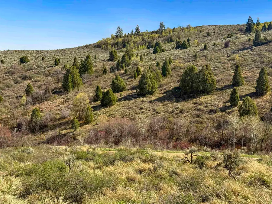 TBD W Walker Creek Rd, McCammon, ID 83250 - #3