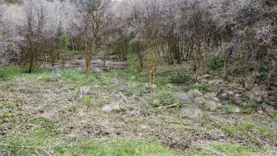 TBD McPherson Canyon Rd, Grace, ID 83241 - #2