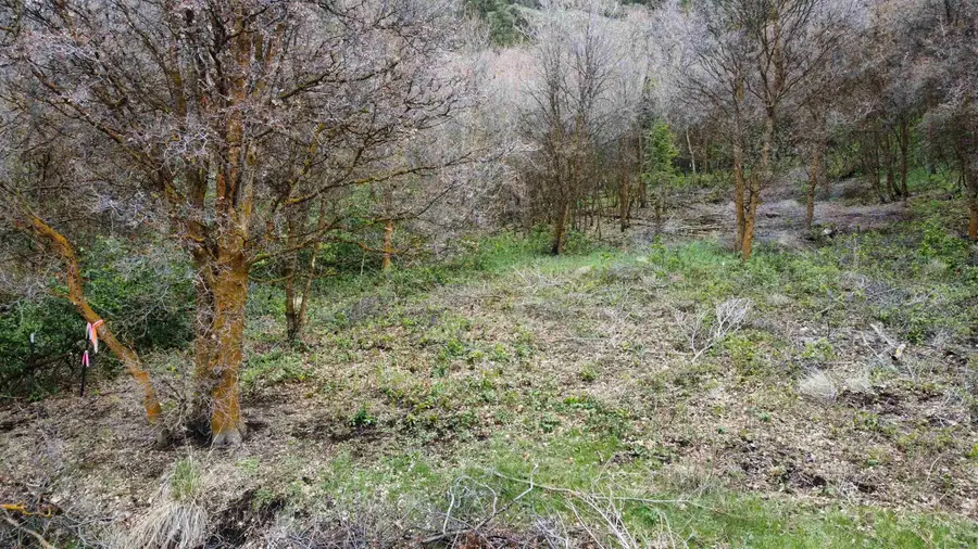 TBD McPherson Canyon Rd, Grace, ID 83241 - #3