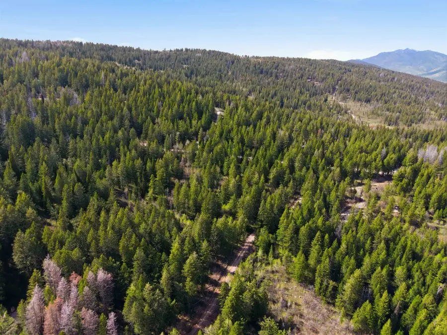 000 Big Buck Pass, Lava Hot Springs, ID 83246 - #3