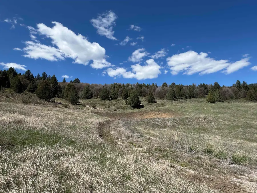 TBD Pheasant Dr, Lava Hot Springs, ID 83246 - #3