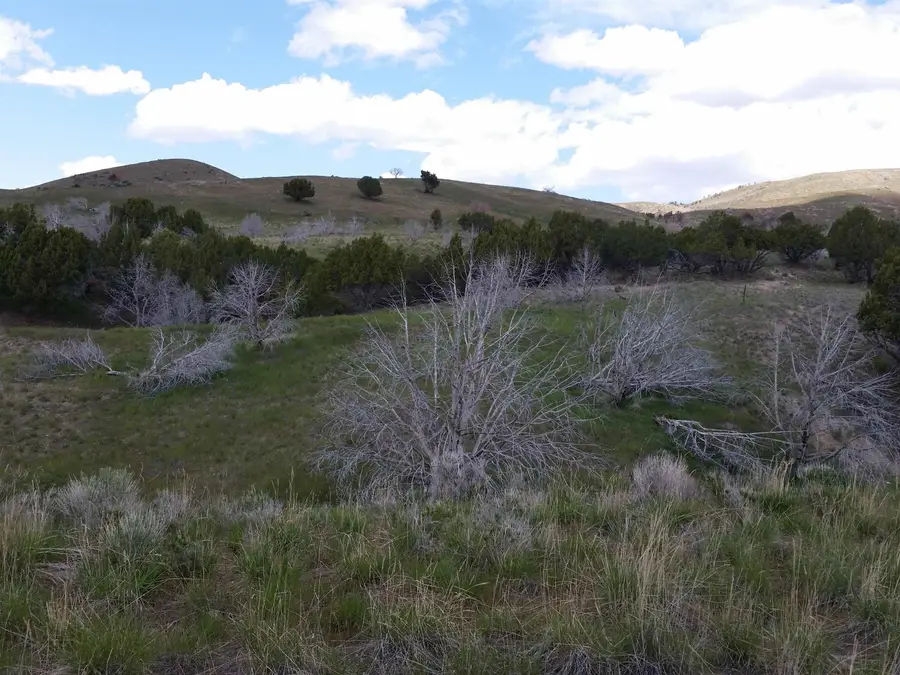 231 ACRES S 5TH AVE, Pocatello, ID 83201 - #3