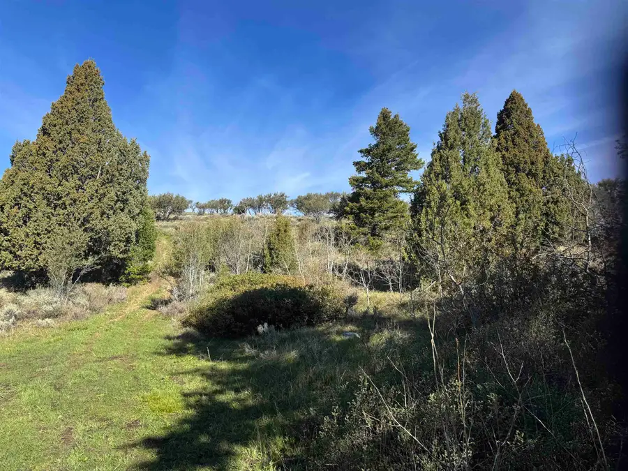 Lot 81 Anthony Circle, Lava Hot Springs, ID 83246 - #2