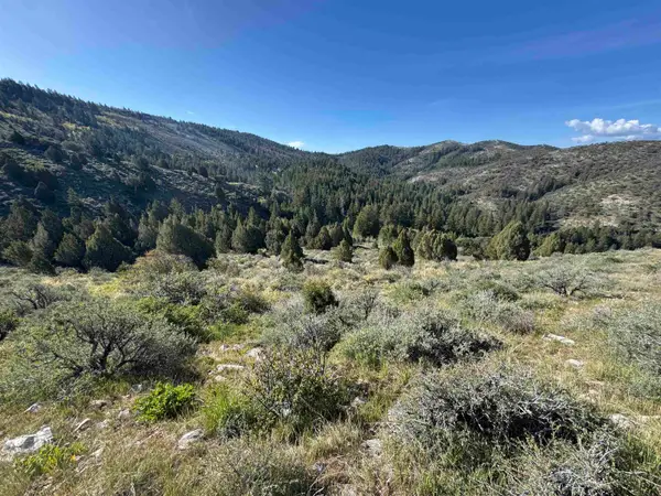 Lot 82 Anthony Circle, Lava Hot Springs, ID 83246