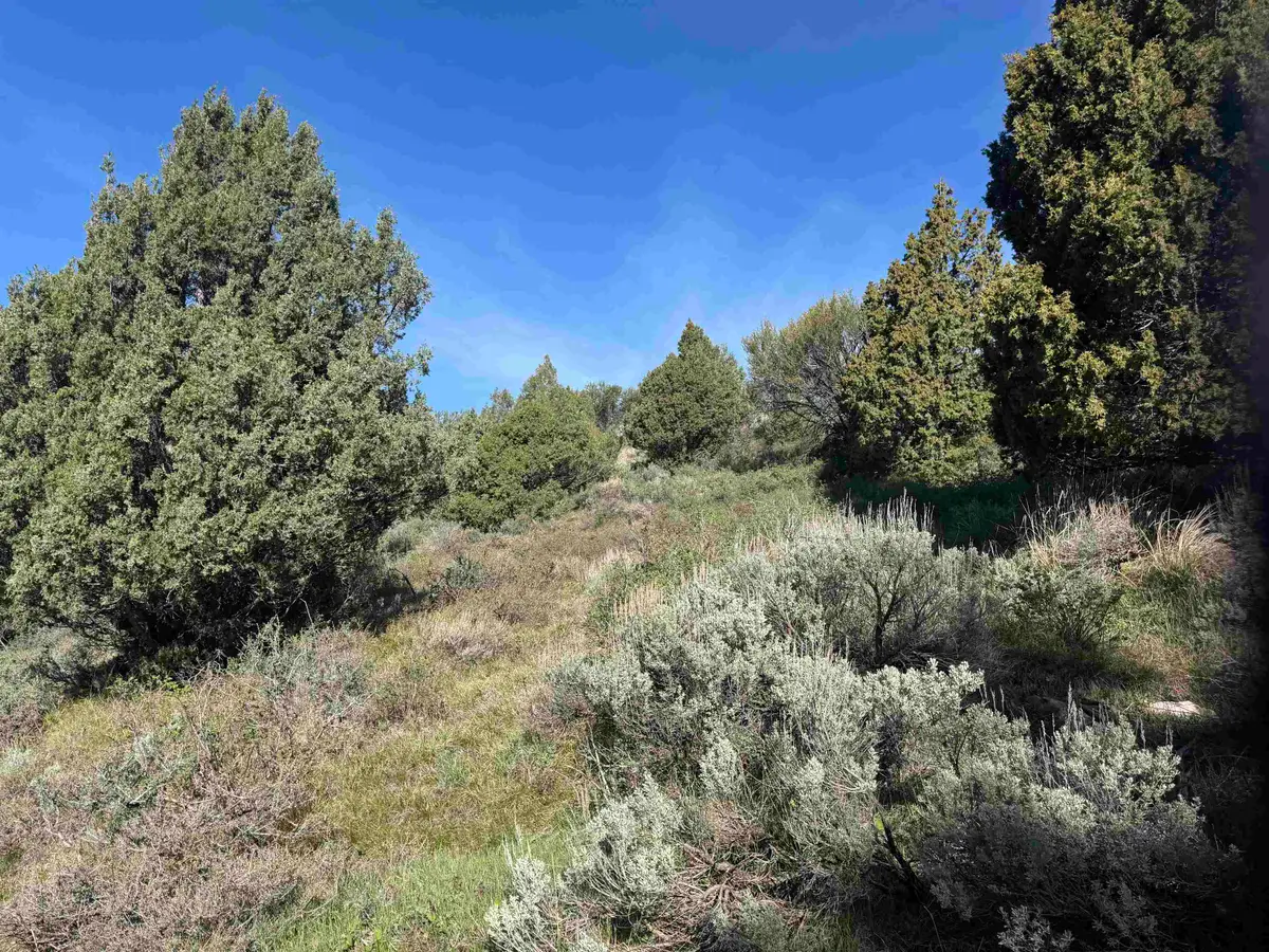 Lot 83 Anthony Circle, Lava Hot Springs, ID 83246 - #1