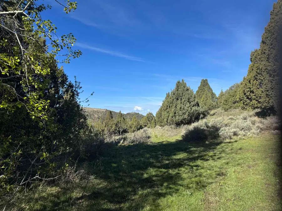 Lot 83 Anthony Circle, Lava Hot Springs, ID 83246 - #2