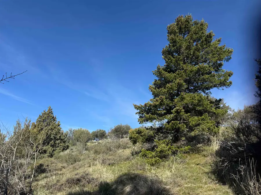 Lot 83 Anthony Circle, Lava Hot Springs, ID 83246 - #3