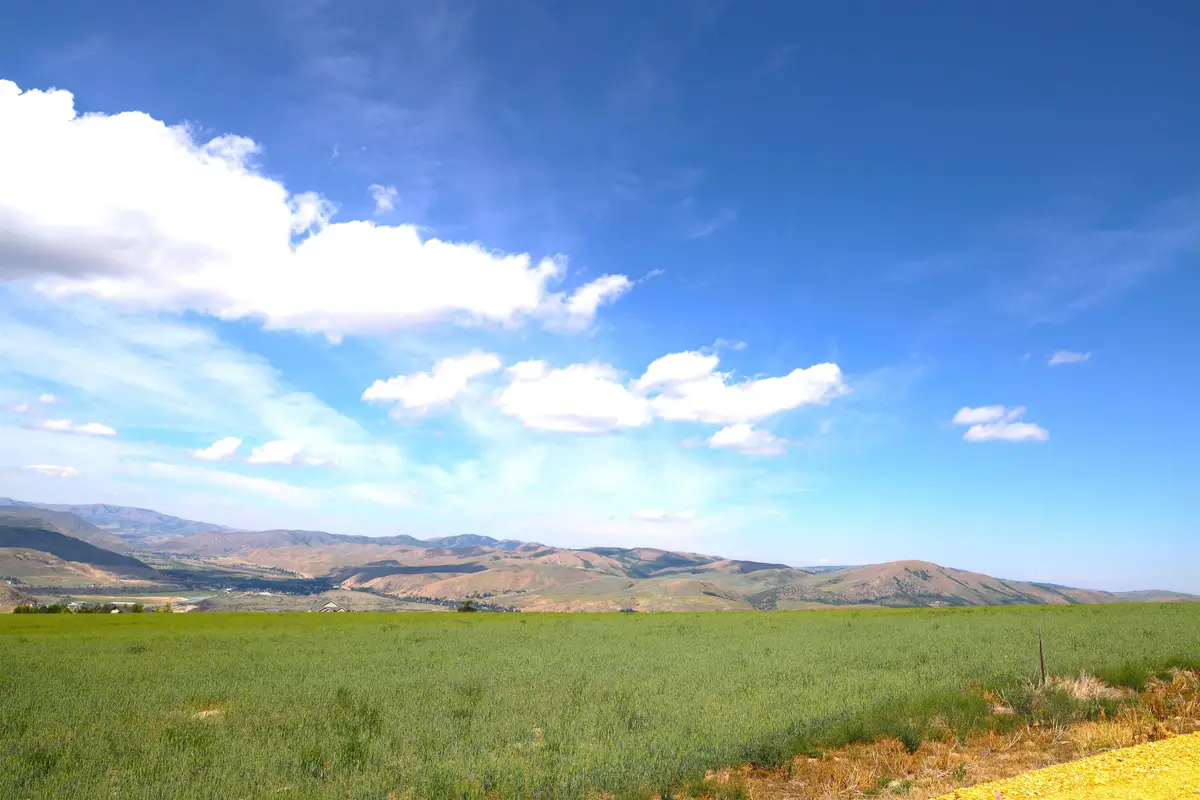 TBD Eagle View Dr, Inkom, ID 83245 - #1