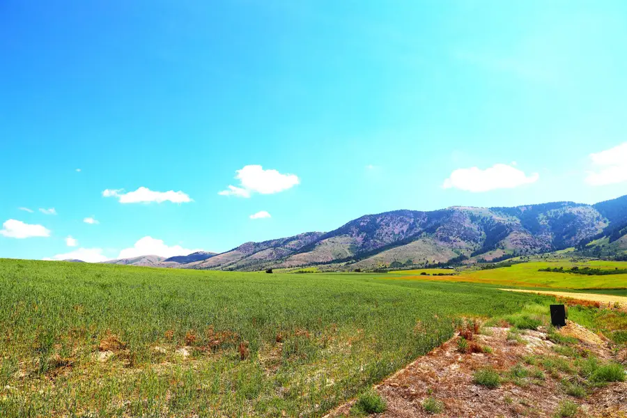 TBD Eagle View Dr, Inkom, ID 83245 - #3