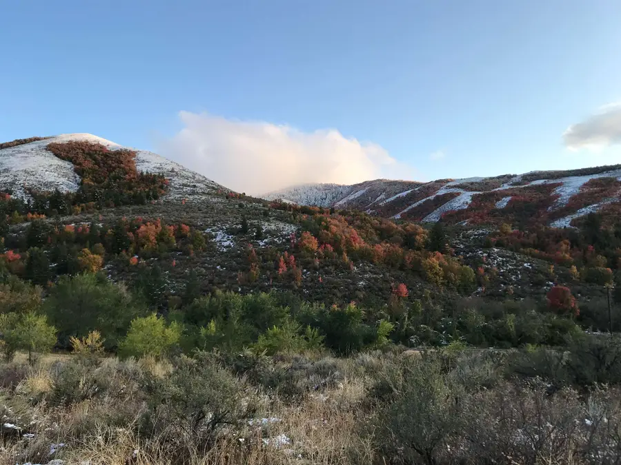 TBD Larkspur Way, Pocatello, ID 83201 - #2