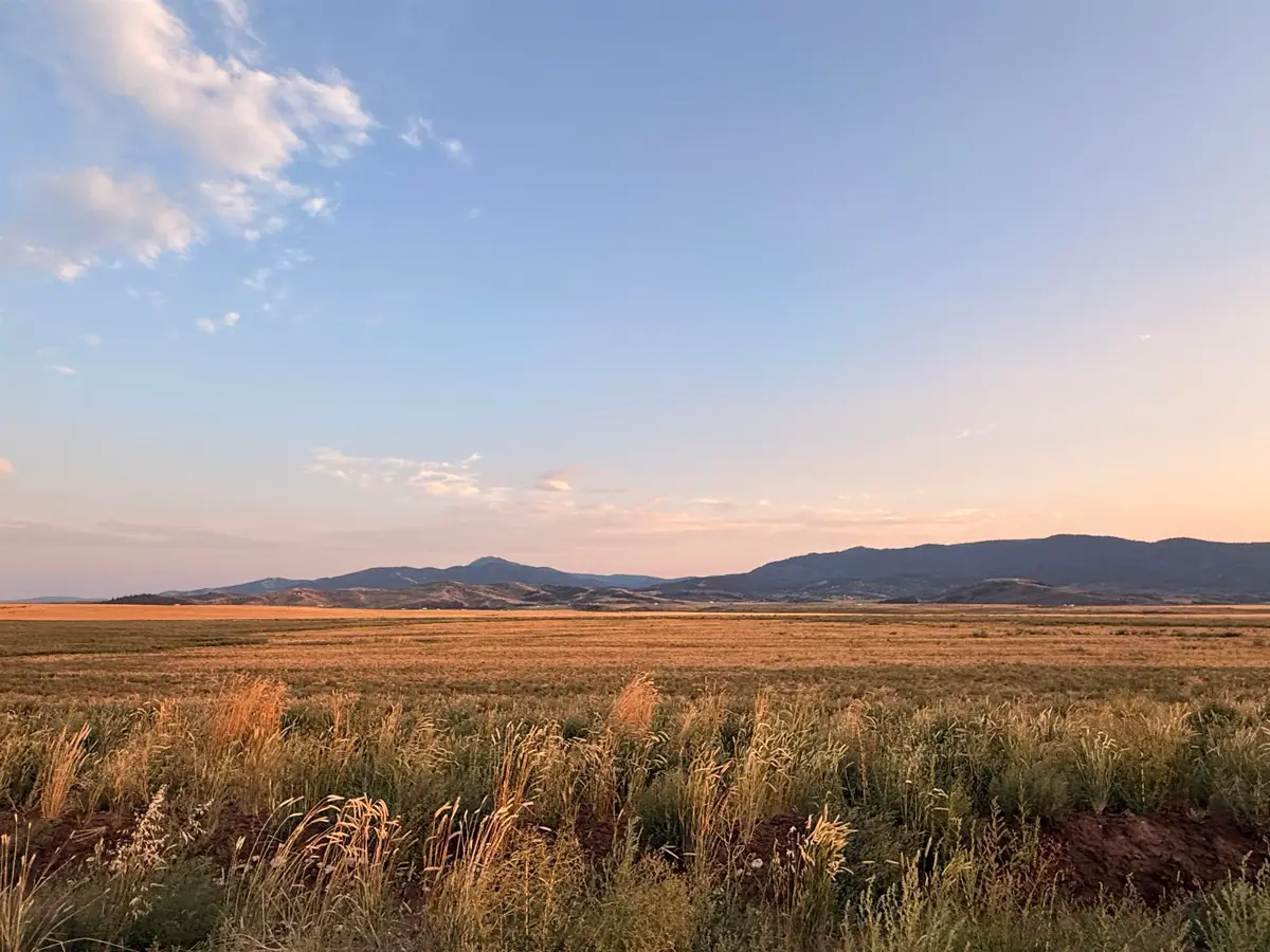 Blk 2 Lot 4 Barley Meadows, Soda Springs, ID 83276 - #1